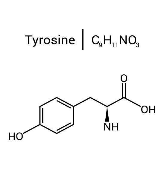 Tyrosine molecule
