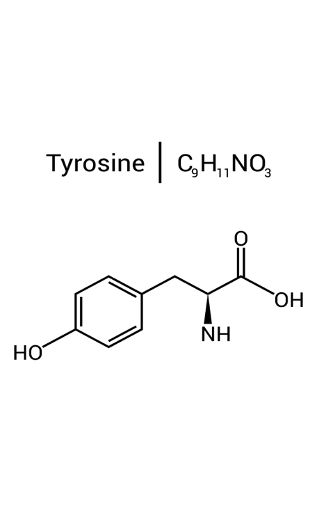 Tyrosine molecule