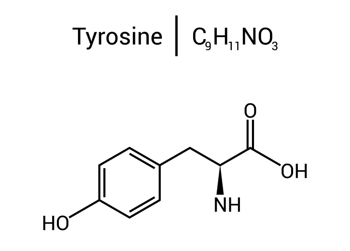 Tyrosine molecule